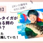 アニマルタイガがちゃんねる鰐の謝罪相手と言われる理由3選！
