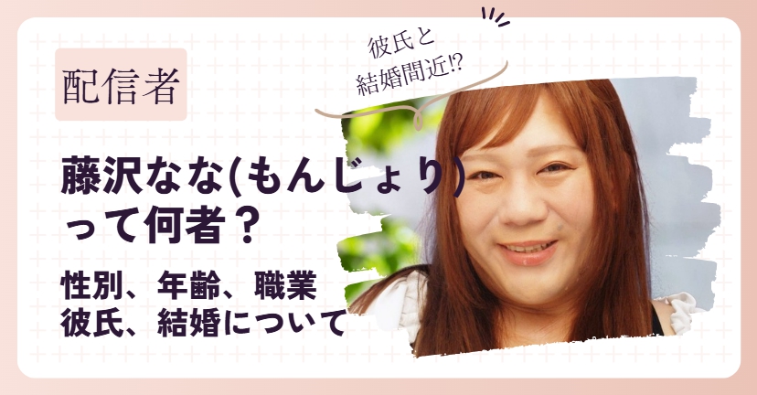 藤沢なな(もんじょり)って何者？