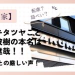 マツキタツヤこと八ツ波樹の本名は松木達哉!