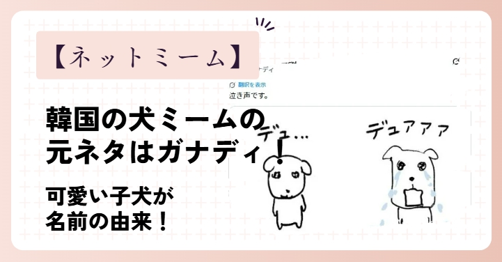 韓国の犬ミームの元ネタはガナディ！可愛い子犬が名前の由来！