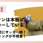 【タウンワークCM】マツケンは本当にサッカーしている!